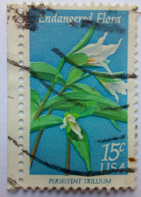 Північна Америка Северная Америка ^/--/^ США 1979 Цветы, флора, гашеная ^_^^^ 1979 Квіти, флора, гашена - фото фото фото