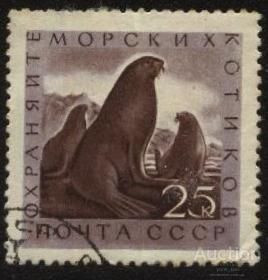 СРСР - СССР - ^/--/^ СССР 1960 г.№ 2175  гашеная ^_^^^ СРСР 1960 р. No 2175 гашена - фото фото фото