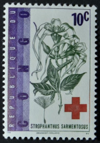 Інше Другое ^/--/^ Конго Красный Крест Флора Строфант сарментозус Strophanthus sarmentosus 1963 ^_^^^ Флора Строфант сарментозус Strophanthus sarmentosus 1963 - фото фото фото