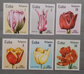 Флора Флора ^/--/^ Куба 1982 г - тюльпаны, негаш ^_^^^ Куба 1982 — тюльпани, негаш - фото фото фото