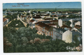 Україна Украина ^/--/^ Поштівка Тернопіль. Загальний вигляд. 1917 р. ^_^^^ открытка Тернополь. Общий вид. 1917 г. - фото фото фото