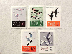 СРСР - СССР - ^/--/^ Серія поштових марок СРСР &amp;quot; Птахи &amp;quot; 1962 рік ** ^_^^^ Серия почтовых марок СССР &amp;quot; Птицы &amp;quot; 1962 год ** - фото фото фото
