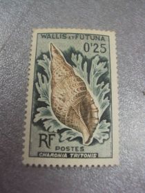 Інше Другое ^/--/^ марка Уоллис и Футуна 1962 ракушка морские раковины №246 ^_^^^ Марка Волліс і Футуна 1962 черепашка морські раковини No 246 - фото фото фото