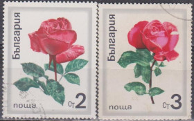 Флора Флора ^/--/^ Болгария Болгарія 1970 флора цветы розы ^_^^^ Болгария Болгария 1970 флора цветы розы - фото фото фото