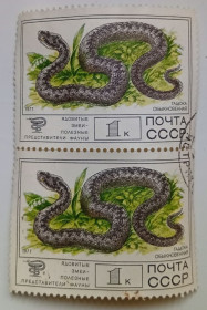 СРСР - СССР - ^/--/^ СССР 1977 Гадюка, сцепка, гашеная ^_^^^ СРСР 1977 Гадюка, зчіпка, гашена - фото фото фото