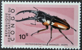 Інше Другое ^/--/^ Конго Фауна Насекомые Жук 1971 ^_^^^ Конго Фауна Комахи Жук 1971 - фото фото фото