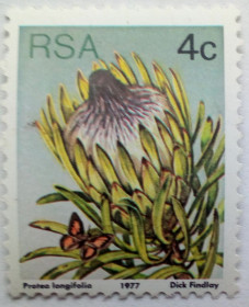 ПАР ЮАР ^/--/^ ЮАР 1977 Цветы, флора, 4 /--/ с., MNH ^_^^^ ПАР 1977 Квіти, флора, 4 /--/ с., MNH - фото фото фото