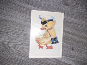 СРСР СССР ^/--/^ Открытка  Гусь капитан  СССР  1989 /--/ г. ^_^^^ Листівка Гусь капітан СРСР 1989 /--/ р. - фото фото фото