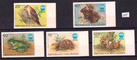 Фауна Фауна ^/--/^ Фауна . Мадагаскар / Малагаси 1975  г MNH - б/з  НЕ ЧАСТО !!! ^_^^^ Фауна. Мадагаскар / Малагасы 1975 г MNH - б/с НЕ ЧАСТО!!! - фото фото фото