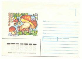 СРСР СССР ^/--/^ СССР 1991  Конверт Грибы Усова ^_^^^ СРСР 1991 Конверт Гриби Усова - фото фото фото