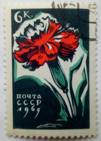 СРСР - СССР - ^/--/^ СССР 1965 Цветы, 6 /--/ к., гашеная (I) ^_^^^ СРСР 1965 Квіти, 6 /--/ к., гашена (I) - фото фото фото