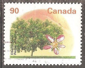 Північна Америка Северная Америка ^/--/^ Канада 1996 Sc.1374 /--/ b гаш. Перф. 14 1/2 х 14 - фото фото фото