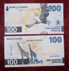 Замбія Замбия ^/--/^ Замбия Замбія  100 квача 2024 UNC ^_^^^ Замбия Замбия 100 квача 2024 UNC - фото фото фото
