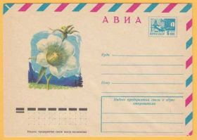 СРСР СССР ^/--/^ ХМК 11.07.74 Флора Цветы Худ. В. Тикунов АВИА ^_^^^ ХМК 11.07.74 Флора Квіти Худ. В. Тікунов АВІА - фото фото фото