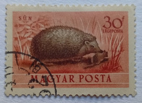 Угорщина Венгрия ^/--/^ Венгрия 1953 Ежики, гашеная ^_^^^ Угорщина 1953 Єжики, гашена - фото фото фото