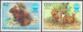 Фауна Фауна ^/--/^ Мадагаскар-1975 фауна, лазающий заяц и олень Аксис ^_^^^ Мадагаскар-1975 - фауна, що лазить заєць і олень Аксіс - фото фото фото