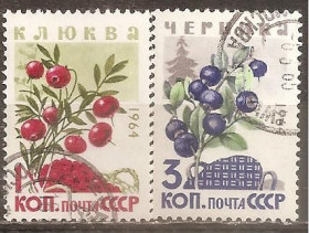 СРСР - СССР - ^/--/^ СССР 1964 Сол.3132-3133 гаш. ^_^^^ СРСР 1964 Сол.3132-3133 гаш. - фото фото фото