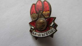 Відзнаки Знаки отличий ^/--/^ Винагиготов (всегда готов) ^_^^^ Вінагіготов (завжди готовий) - фото фото фото