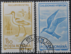 Інше Другое ^/--/^ Румыния Фауна Птицы 1991 ^_^^^ Румунія Фауна Птахи 1991 - фото фото фото