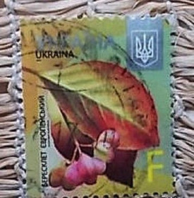 Після  року После  года ^/--/^ Марка Марки Украина гашеные литерные &amp;quot;F&amp;quot; Бересклет європейський, 2015 ^_^^^ Марки Украина гашеные литерные &amp;quot; F&amp;quot; Бересклет европейский, 1 лот = 1 штука - фото фото фото