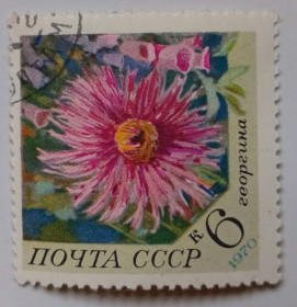 СРСР - СССР - ^/--/^ СССР 1970 Цветы, георгина, гашеная ^_^^^ СРСР 1970 Квіти, георгіна, гашена - фото фото фото