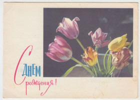 СРСР СССР ^/--/^ С днем рождения 1965 Панов Цветы Р /--/ 11 /--/ А ^_^^^ З днем народження 1965 Панов Квіти Р /--/ 11 /--/ А - фото фото фото