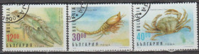Фауна Фауна ^/--/^ Болгария Болгарія 1996 фауна моря ^_^^^ Болгария Болгария 1996 фауна моря - фото фото фото