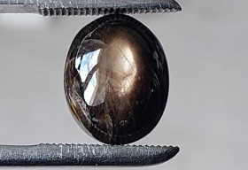 Сапфір Сапфир ^/--/^ Звездчатый сапфир черный  11.58 Ct  14 х 11 х 6.4 mm ^_^^^ Зірчастий сапфір чорний 11.58 Ct 14 х 11 х 6.4 mm - фото фото фото