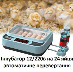Інкубатори Инкубаторы ^/--/^ Інкубатор автомат 12/220 /--/ в на 22 курячих яйця ^_^^^ Инкубатор автомат 12/220 /--/ в на 24 куриных яйца - фото фото фото