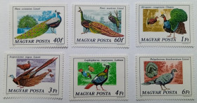 Угорщина Венгрия ^/--/^ Венгрия 1977 Птицы, павлины, фазаны, MNH ^_^^^ Угорщина 1977 Птахи, павичі, фазани, MNH - фото фото фото