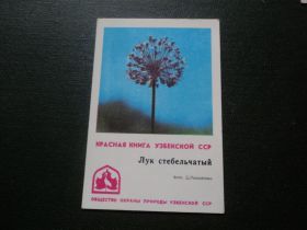Календарі Календари ^/--/^ Красная книга Узбекской ССР. Лук стебельчатый. Фото Михайлова. 1982 /--/ г. ^_^^^ Червона книга Узбецької РСР. Лук стеблевий. Фото Михайлова. 1982. - фото фото фото