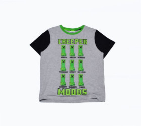 Футболки, майки Футболки, майки ^/--/^ Сіра футболка minecraft matalan на хлопчика 11 років ^_^^^ Серая футболка minecraft matalan на мальчика 11 лет - фото фото фото