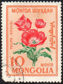 Монголія Монголия ^/--/^ Монголія 1960 - Квіти  (Г) ^_^^^ Монголия 1960 — Цветы (Г) - фото фото фото