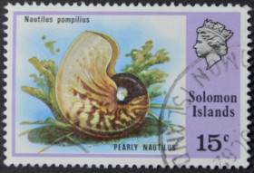 Інше Другое ^/--/^ Соломоновы Острова Морская фауна Моллюск Nautilus Pompilius 1976 ^_^^^ Соломонові Острови Морська фауна Молюск Nautilus Pompilius 1976 - фото фото фото