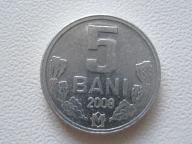 Молдова Молдова ^/--/^ Молдова 5 бани 2008 года 27551 ^_^^^ Молдова 5 лазні 2008 року 27551 - фото фото фото