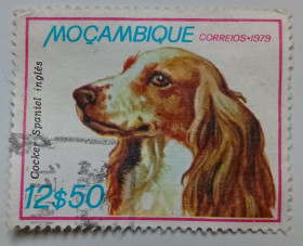 Мозамбік Мозамбик ^/--/^ Мозамбик 1979 Собаки, 12,50 /--/ Е, гашеная ^_^^^ Мозамбік 1979 Собаки, 12,50 /--/ Е, гашена - фото фото фото