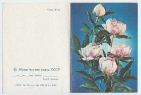СРСР СССР ^/--/^ Цветы телеграмма 1985 Р /--/ 11 ^_^^^ Квіти телеграма 1985 Р /--/ 11 - фото фото фото