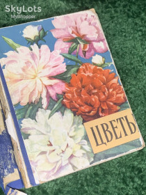 Видання - р. Издания - гг. ^/--/^ Книга «Цветы» Госсельскохозиздат УССР, Киев, 1959 СССР, Н /--/ 2376 ^_^^^ Книга «Квіти» Держсільськохозвидав УРСР, Київ, 1959 СРСР, Н /--/ 2376 - фото фото фото