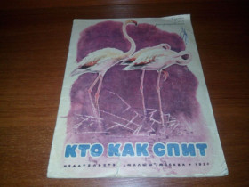 Видання - р. Издания - гг. ^/--/^ Кто как спит  (Альбом для раскрашивания) ^_^^^ Хто як спить (Альбом для розфарбовування) - фото фото фото
