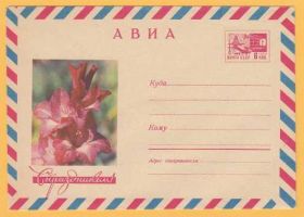 СРСР СССР ^/--/^ ХМК 08.01.69 Флора Цветы Худ. И. Дергилев АВИА ^_^^^ ХМК 08.01.69 Флора Квіти Худ. І. - фото фото фото