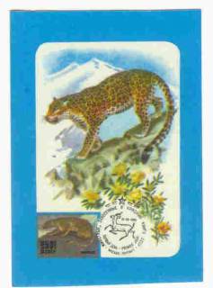 Календарі Календари ^/--/^ СССР 1988 Календарик  Флора Фауна рысь 2 ^_^^^ СРСР 1988 Календарик Флора Фауна рись 2 - фото фото фото