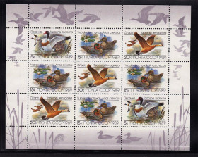 СРСР - СССР - ^/--/^ СССР  1989 г   MNH - ПТИЦЫ ^_^^^ СРСР 1989 MNH - Птахи - фото фото фото