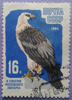 СРСР - СССР - ^/--/^ СССР 1964 фауна птицы СК 2962 ^_^^^ СРСР 1964 фауна птаха СК 2962 - фото фото фото