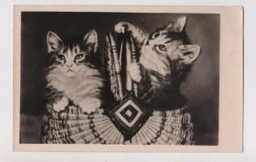 СРСР СССР ^/--/^ КОТЯТА в КОРЗИНЕ  ОТКРЫТОЕ ПИСЬМО - 1950-е гг. - Клинцовская артель  п/п  тираж 5 тыс.  ^_^^^ КОТЯТА в КОРЗІНІ ВІДКРИТЕ ПИСЬМО - 1950-і рр.. Клинцівська артіль п/п тираж 5 тис. - фото фото фото