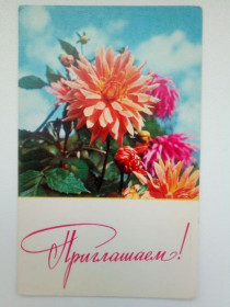 СРСР СССР ^/--/^ Открытка СССР 1968 г. ПРИГЛАШАЕМ! Фото ГИППЕНРЕЙТЕРА. Чистая ^_^^^ Листівка СРСР 1968 Запрошуємо! Фото Гіпенрейтера. Чистий - фото фото фото