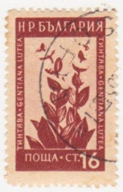 Балканський півострів Балканский полуостров ^/--/^ Болгария 1953 г № 868 гашеная ^_^^^ Болгарія 1953 р. No 868 гашена - фото фото фото