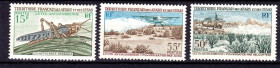 Фауна Фауна ^/--/^ NM Фауна  Афар и Исса  1969 г  MH - саранча - авиация ^_^^^ NM Фауна Афар і Ісса 1969 MH - саранча - авіація - фото фото фото