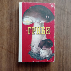 Видання - р. Издания - гг. ^/--/^ М.Я. Зерова Ю.Я. Єлін С.М. Козяков Гриби ^_^^^ Грибы - фото фото фото