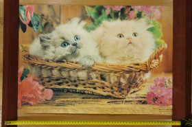 Інше Другое ^/--/^ плакат котята в корзине 59 /--/ х /--/ 40 см №10199 ^_^^^ плакат кошенята в кошику 59 /--/ х /--/ 40 см No /--/ 10199 - фото фото фото