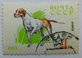 СРСР - СССР - ^/--/^ СССР 1965 Служебные и охотничьи собаки, 4 /--/ к., гашеная ^_^^^ СРСР 1965 Службові та мисливські собаки, 4 /--/ к., гашена - фото фото фото